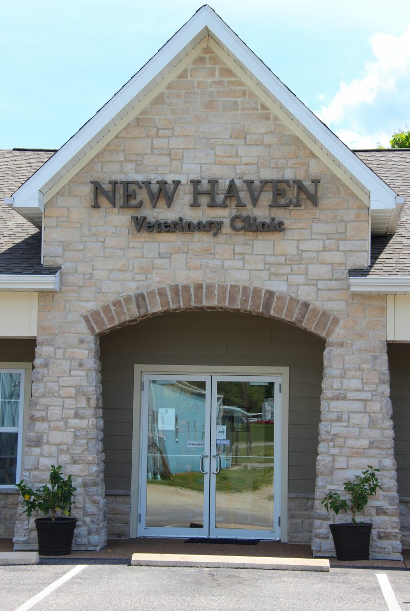 About New Haven Veterinary Hospital