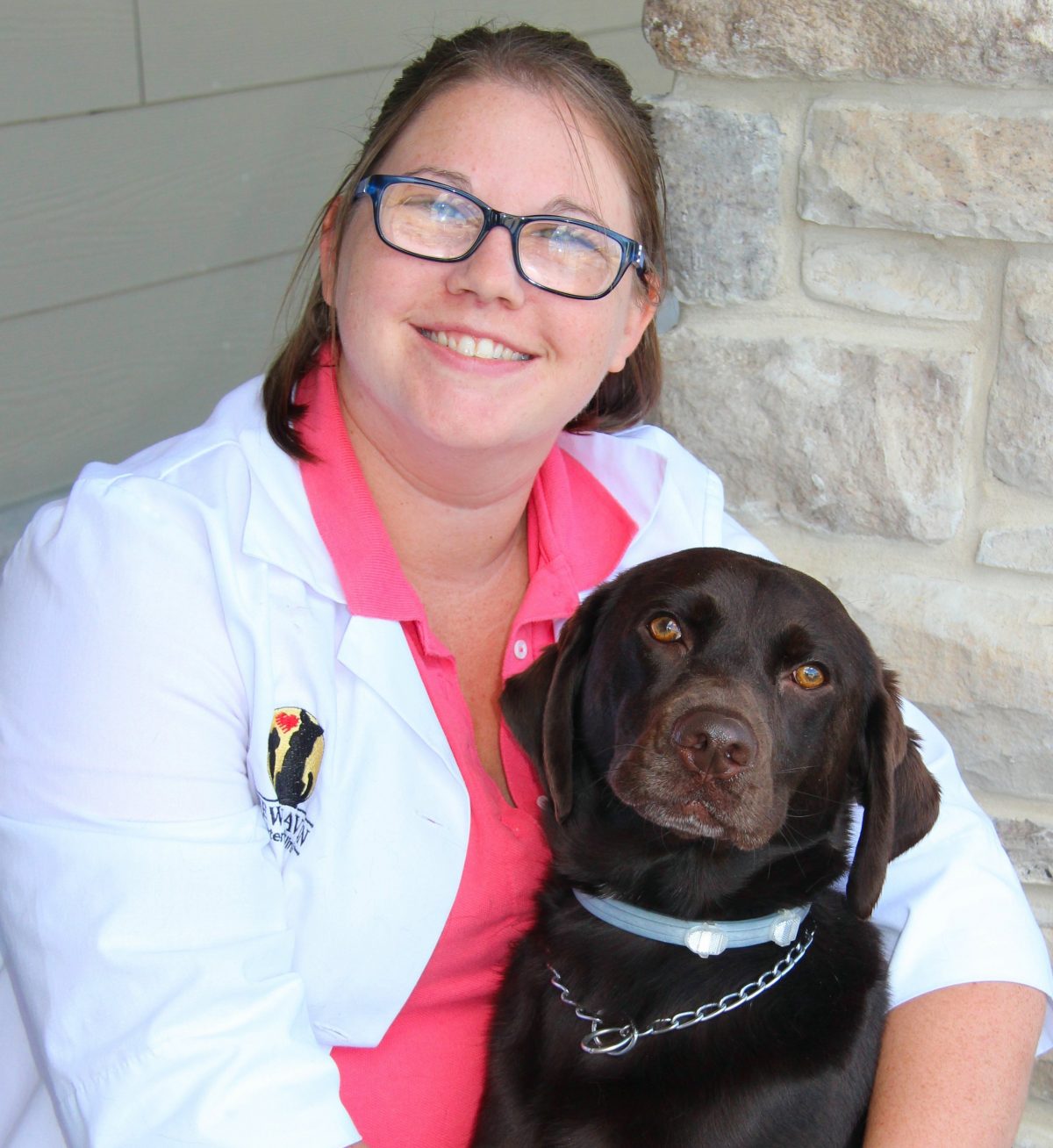 Our Team New Haven Veterinary Hospital
