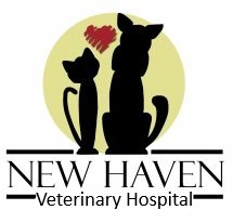New Haven Veterinary Hospital